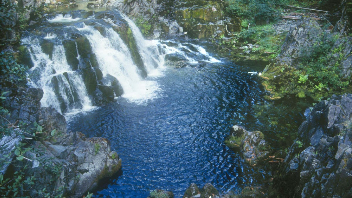 Opal Creek S 7 Best Hikes How To Avoid The Crowds
