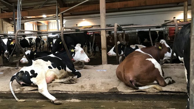 When treating manure, farmers need to take into consideration the characteristics of the manure produced, including its moisture, nutrient content and contamination, as well as how the farm beds and handles its manure collection and conveyance.