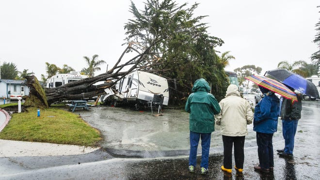 Park guests look over the damage after a powerful storm overnight toppled several trees inside the Pismo Coast Village RV Resort in Pismo Beach, Calif., Monday, March 7, 2016. Powerful thunderstorms moved swiftly through California Monday, briefly knocking out power to Los Angeles' airport and walloping the Sierra Nevada with blizzard conditions. (Joe Johnston/The Tribune (of San Luis Obispo) via AP)