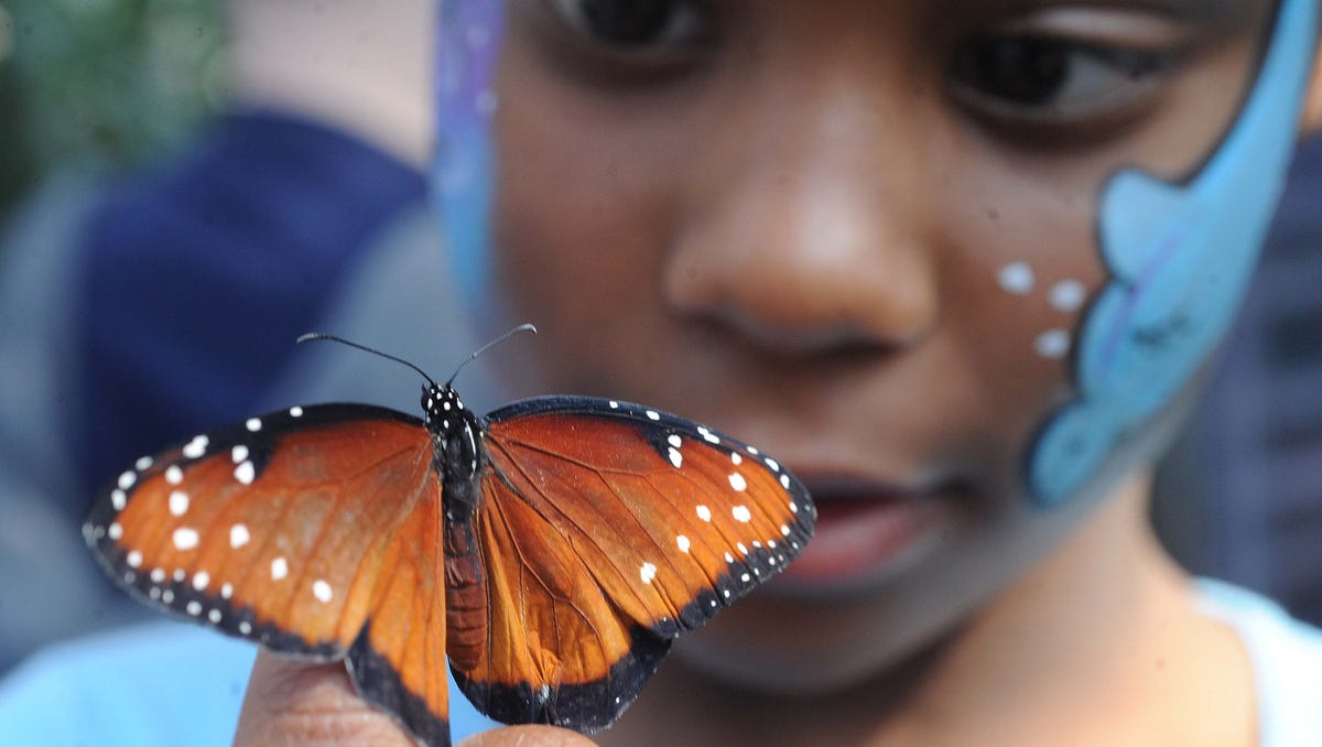 Indianapolis Zoo butterfly exhibit