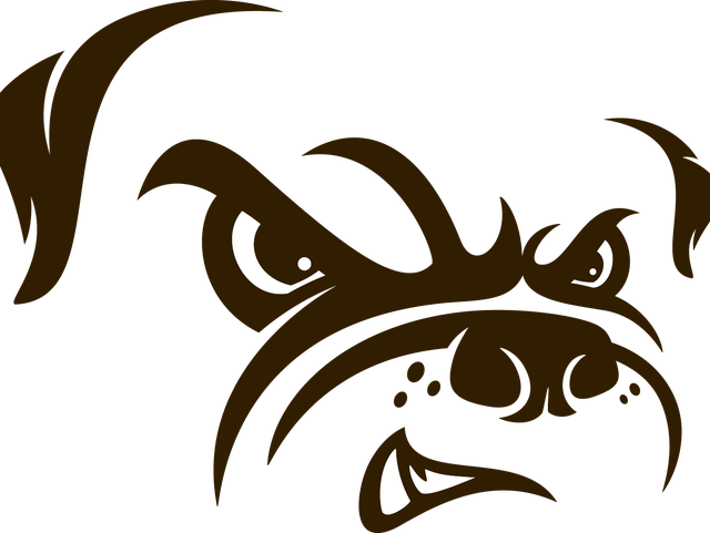 The Cleveland Browns Have Unveiled New Primary And Dawg Pound Logos This Morning
