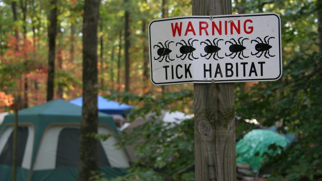 According to Dr. John Halperin, a Lyme disease expert, all of suburban New Jersey is at risk for Lyme disease. Dr. Halperin recommends wearing long pants and shirts in a light color when going out in low bush, long grass and other wooded areas so it is easier to spot ticks.