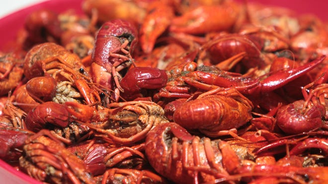 The warmer weather is leading to bigger and better crawfish.