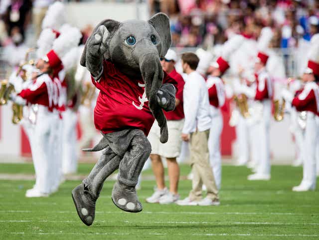 Why Is The Alabama Crimson Tide S Mascot An Elephant