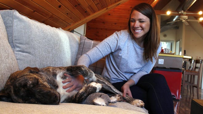 In this Saturday, Nov. 10, 2018, photo Lauren Ray pets her 9-month-old dog Bear in her Milwaukee home. Ray says she is happy to hear Petco is announcing Tuesday, Nov. 13, that it plans to stop selling dog and cat food and treats with artificial colors, flavors and preservatives, both online and at its 1,500 stores in the U.S. and Puerto Rico by May 2019. She feeds her dog organic food and hopes Petco's change will help her find more varieties at a convenient location. (AP Photo/Carrie Antlfinger)