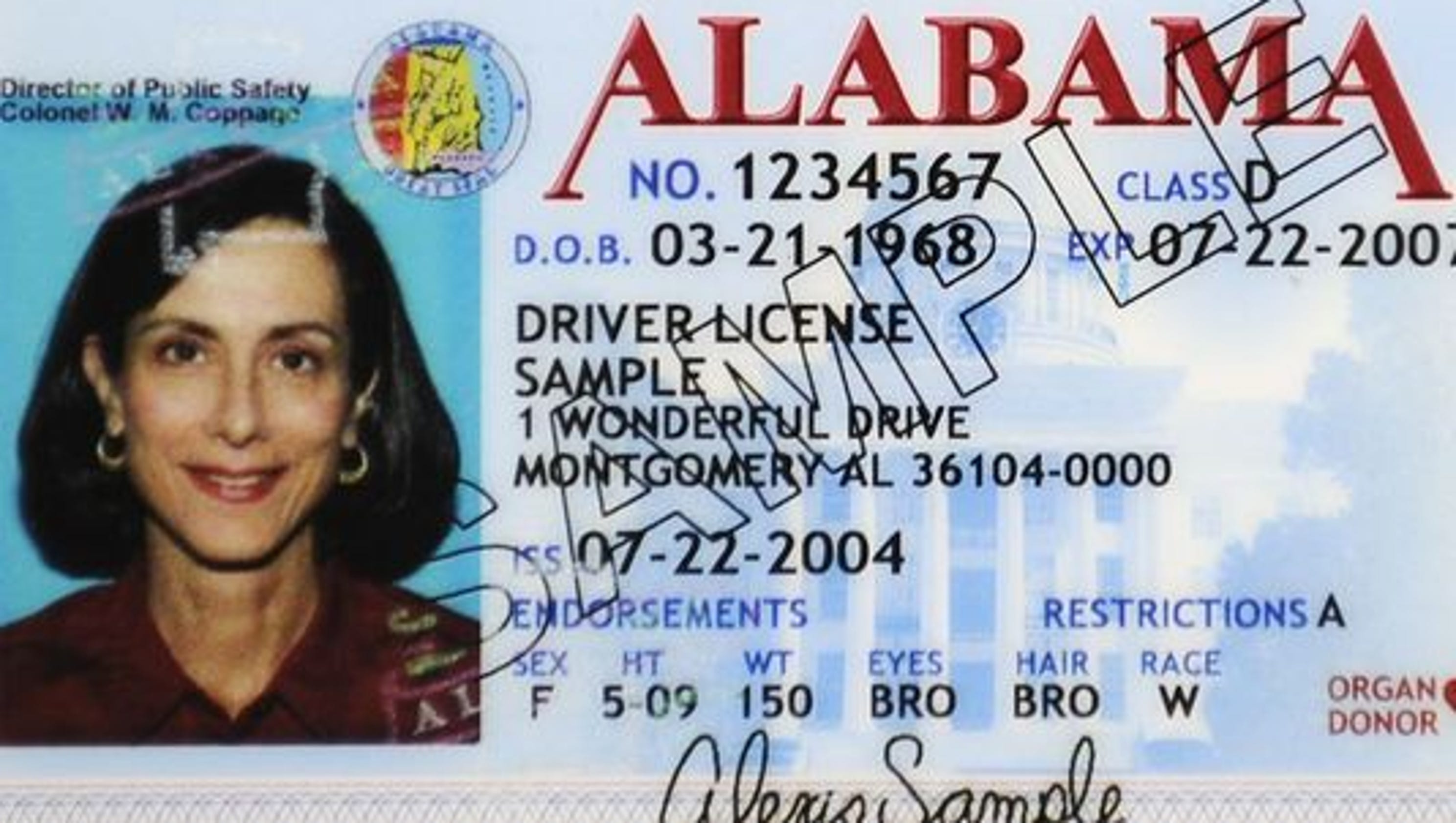 free alabama drivers license template