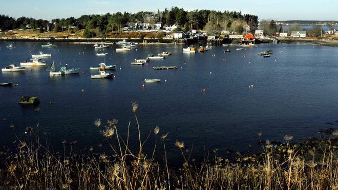 In this Dec. 21, 2005, file photo, lobster boats are tied to their moorings at Bailey Island, Maine. The state Marine Patrol says a woman has been killed in an apparent shark attack off the coast of Maine, a rare occurrence that has only been recorded once before in the state by an unprovoked shark. Marine Patrol says a witness saw the woman swimming Monday, July 27, 2020, off the shore of Bailey Island when she was injured in what appeared to be a shark attack.