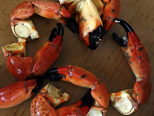 The Florida Commission on Human Relations has ruled in favor of a man who was turned away from entry into the St. Marks Stone Crab Festival in 2019 because of his service dog.
