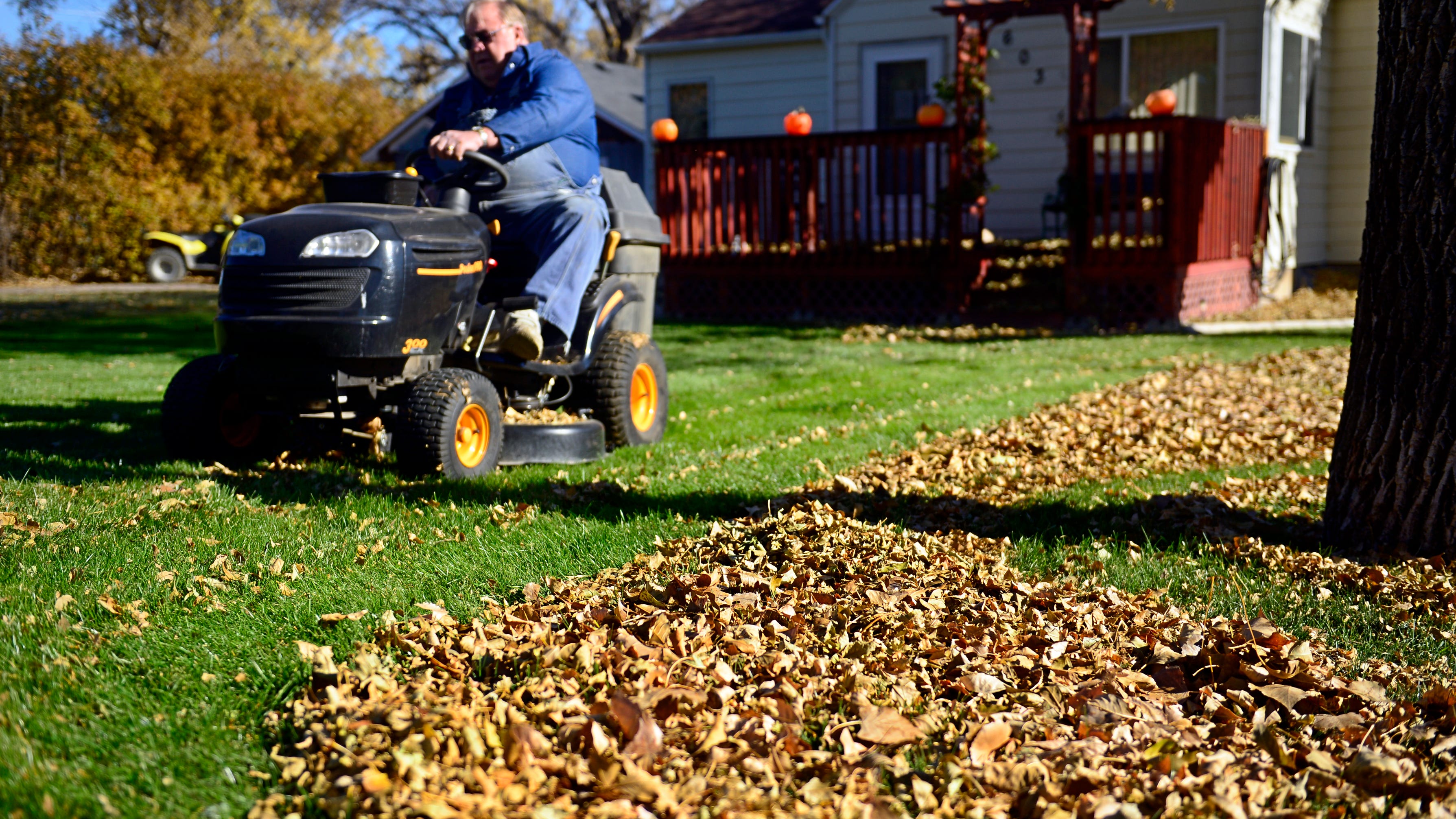Great Falls leaf pickup starts Oct. 27