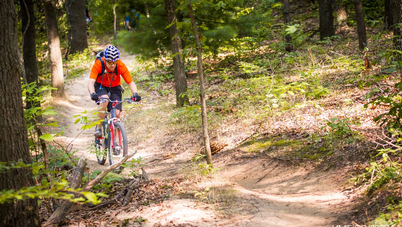 Online courses from university of mississippi 10 things to do in Michigan in May