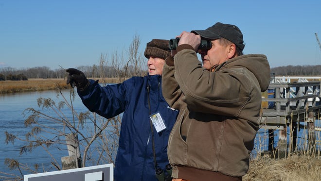 Karen Johnson, a volunteer guide at the Newport Landing site, points out an eagle nest to George Loos of South Dennis during the Cumberland County Winter Eagle Festival on Saturday, Feb. 3.