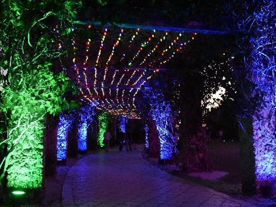 Annual Night Lights in the Garden creates twinkling holiday magic