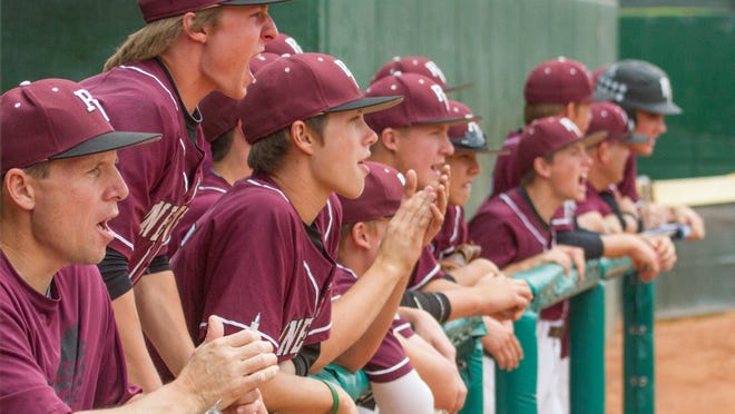 Pine View players cheer from the dugout against Carbon on Thursday.