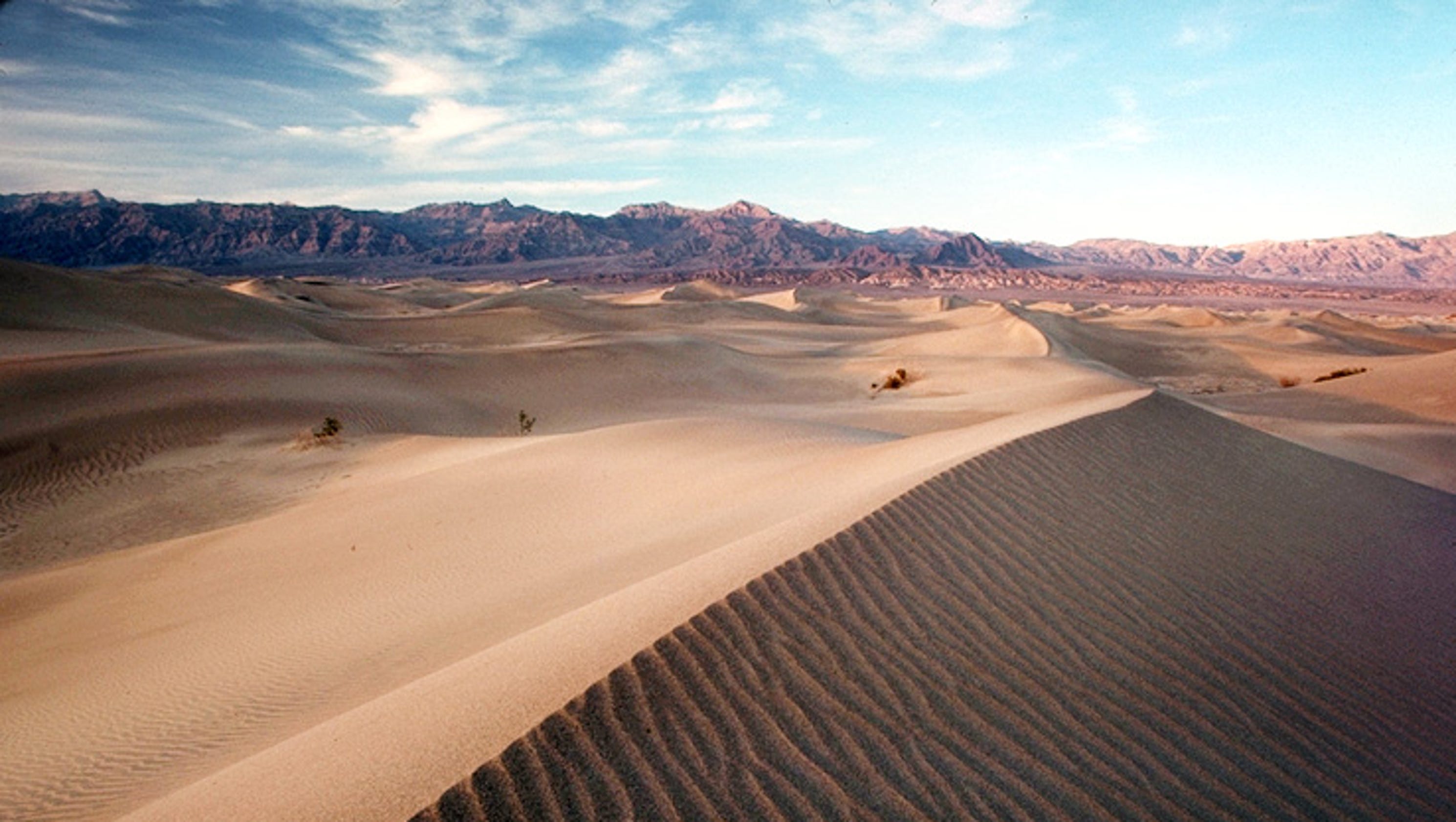Death Valley National Park: A living desert