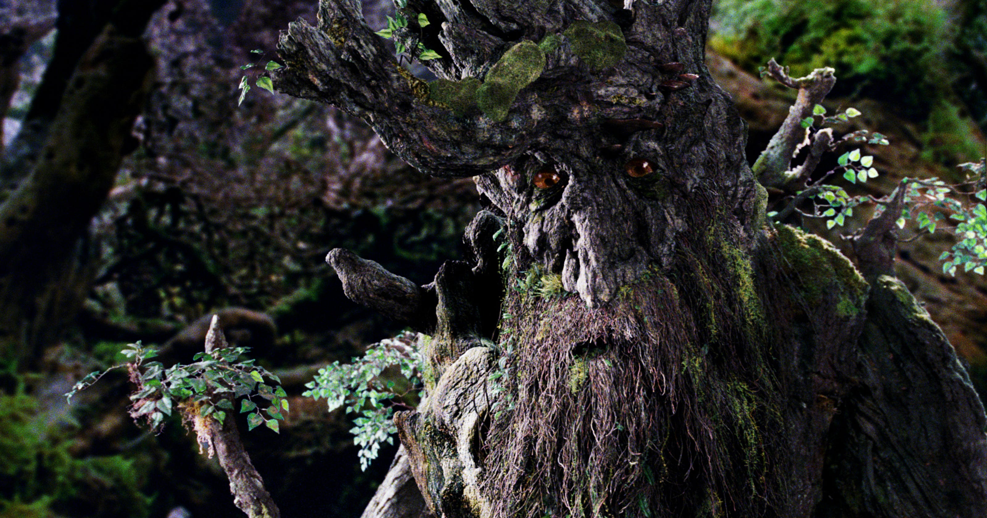 The best trees in literature