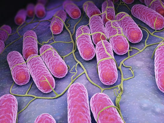 Salmonella outbreak tied to kratom reaches Michigan