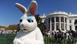 A person dressed as a Easter bunny watches children