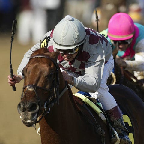 The horse-racing industry needs stronger regulatio