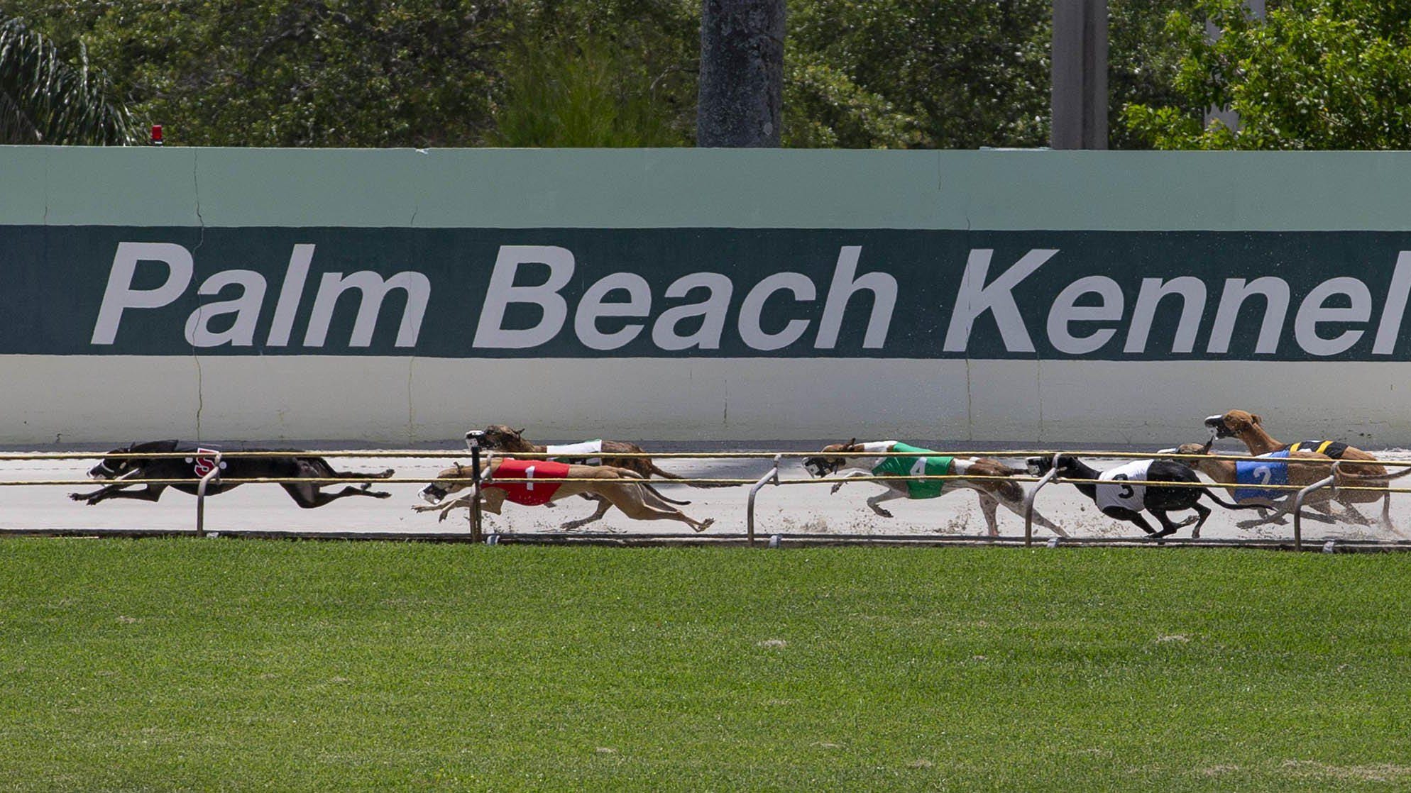 Palm Beach Kennel Club Poker Schedule Palm Beach Kennel Club Poker Schedule