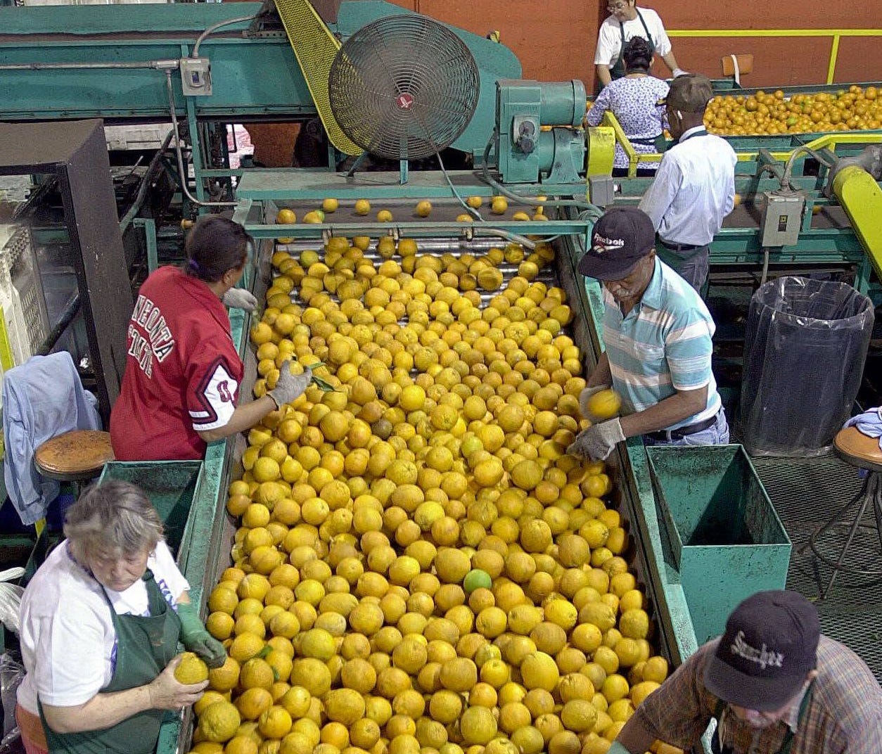 In Haines City, Fla., in 2000.