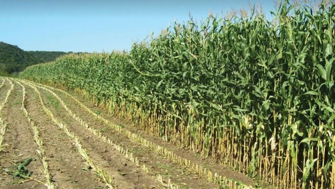 Midwestern BioAg manufactures and distributes fertilizers that build soil health while increasing yields and nutritional quality of both food and forage.