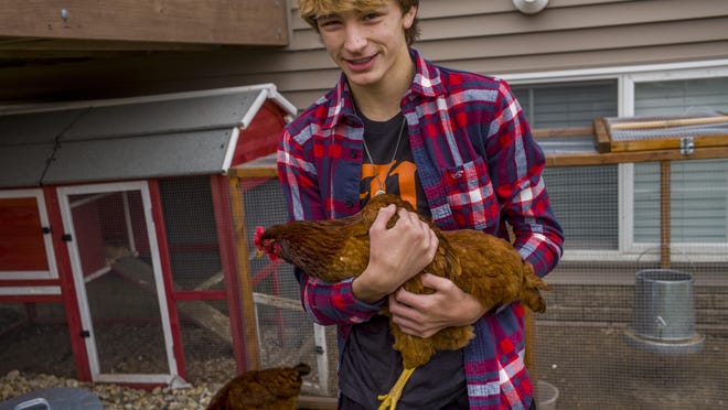 Josh Biagini holds one of his backyard chickens at his home. His family is one of four in Washington that can keep their chickens after the City Council repealed an ordinance that allowed residents to have chickens.