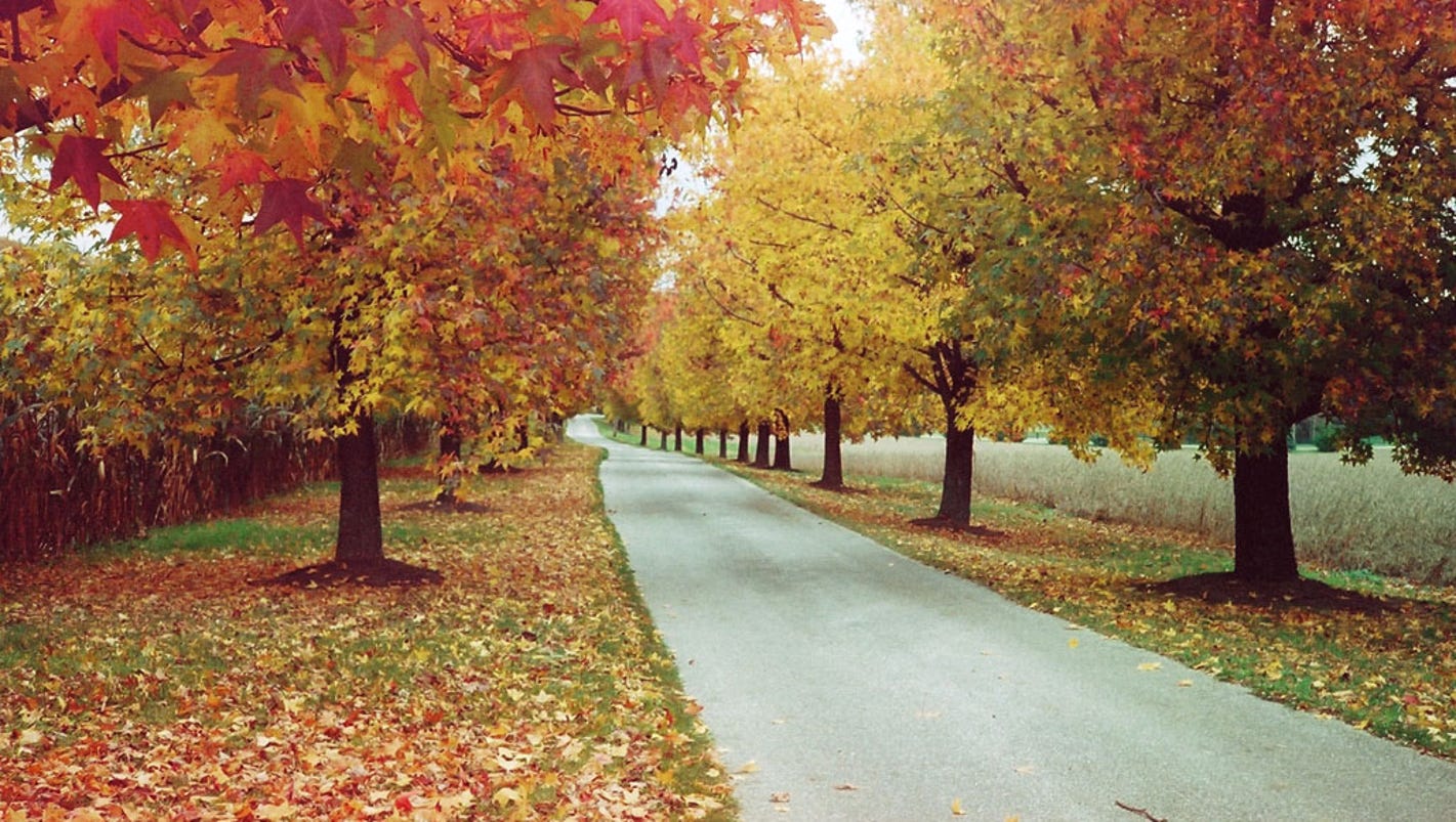 Best state for fall foliage Pennsylvania's long, beautiful season