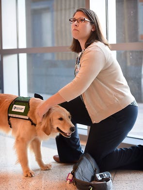 K Specialist Dog Training K Specialist Dog Training