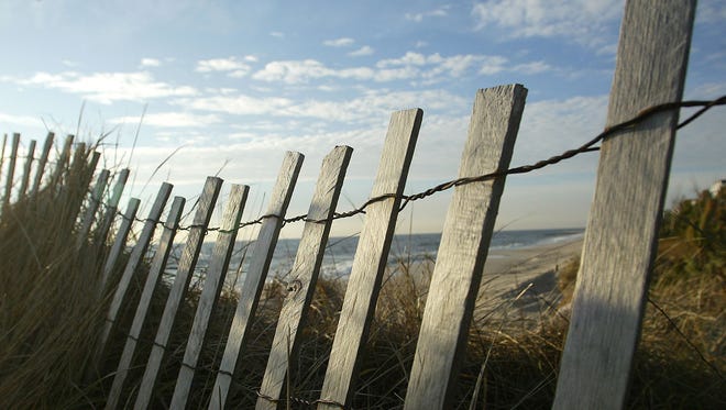Harvey Cedars dune fence on  the beach at Cumberland Avenue.