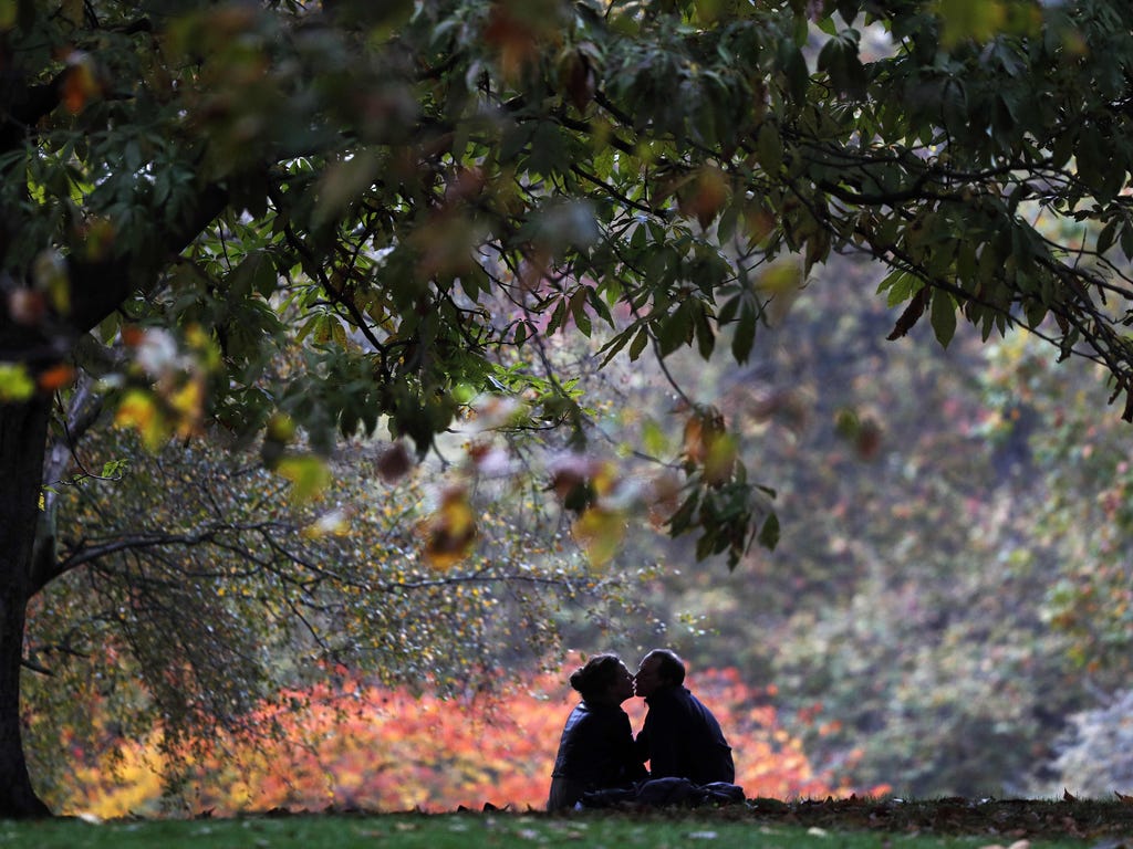 A couple kiss beneath a tree in St. James' Park in London.