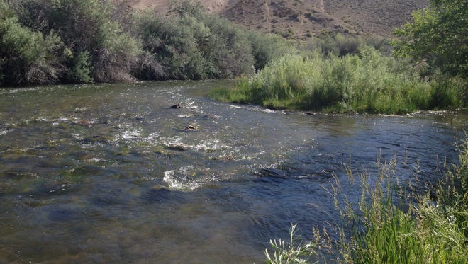 There’s easy access to the West Walker River from a rest area along Nevada 208 at the entrance to Wilson Canyon from Smith Valley.