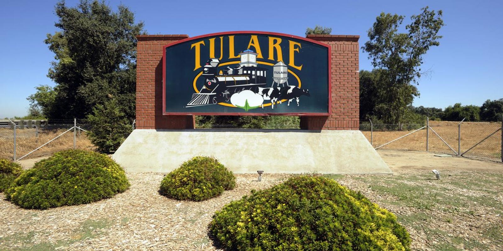 Changes to Tulare city and chamber committees Changes to Tulare city and chamber committees