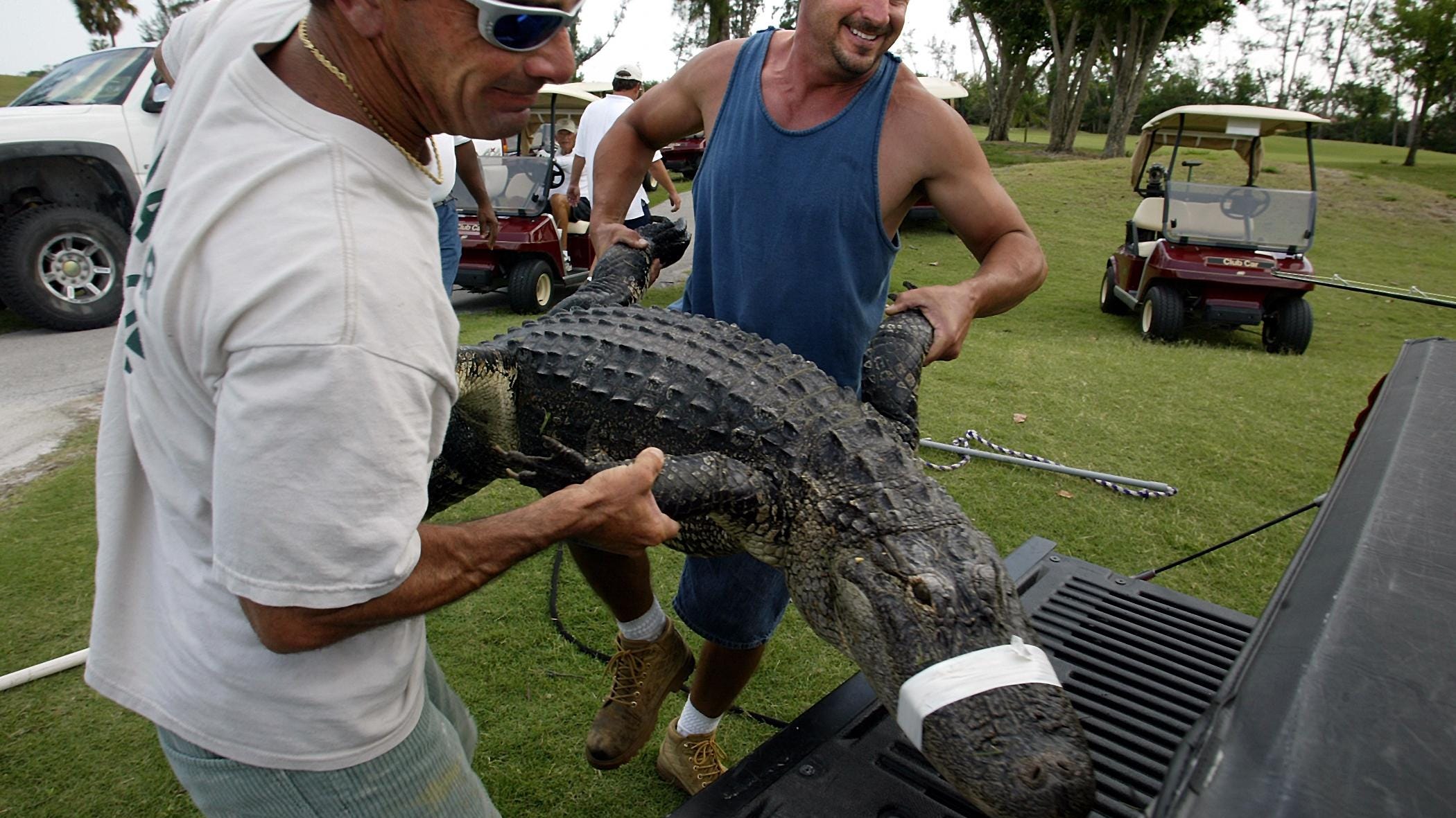 Florida gator trappers, who do it cuz their daddies did, want more $$ per  skin