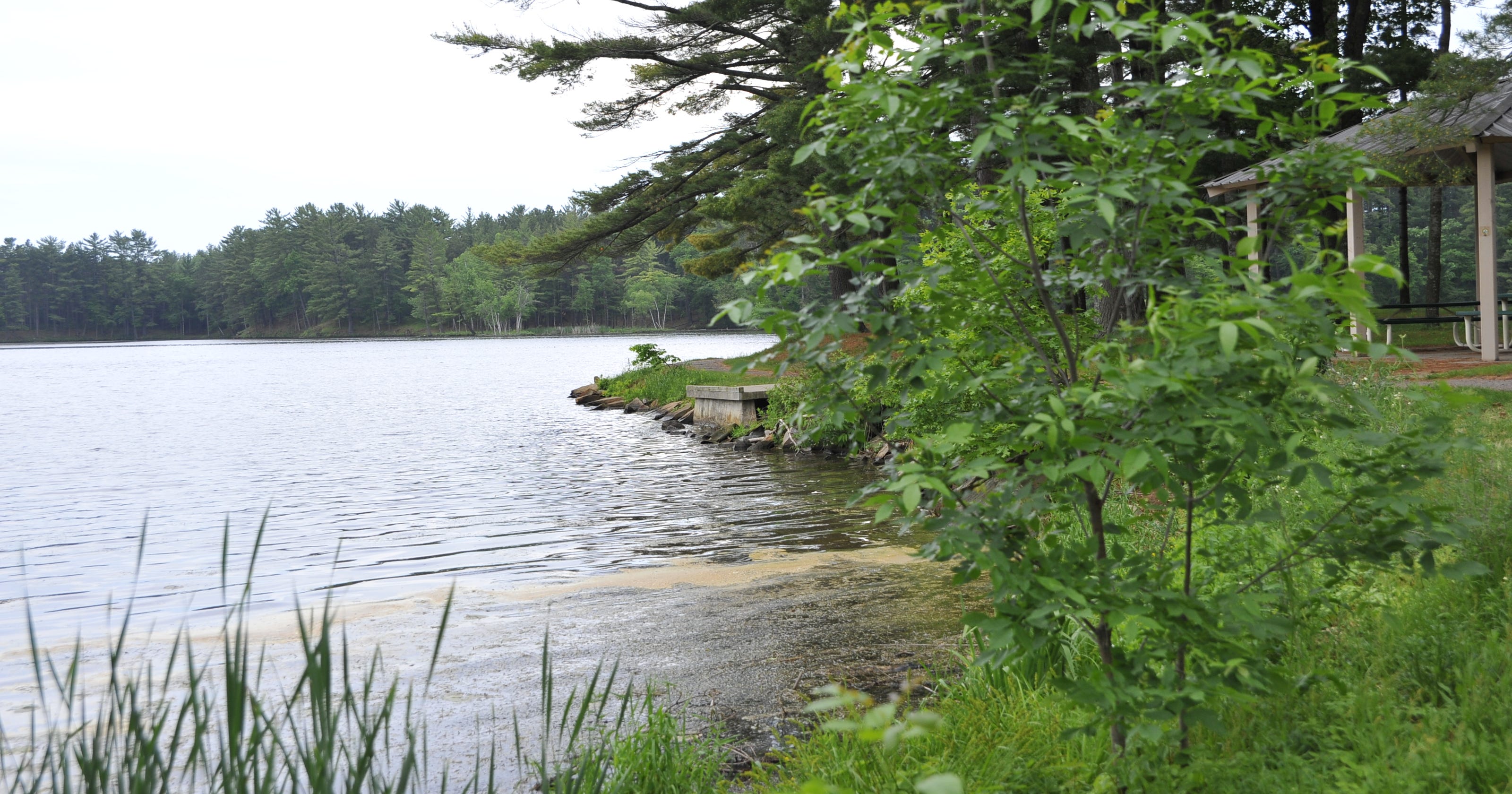 Domtar to draw down Nepco Lake for maintenance