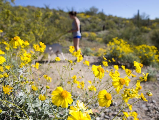 Sunrise Mountain Preserve