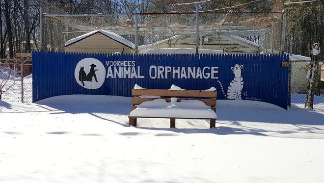 To better serve the homeless animal population in Camden County, The Voorhees Animal Orphanage announced a renovation to be completed by 2018