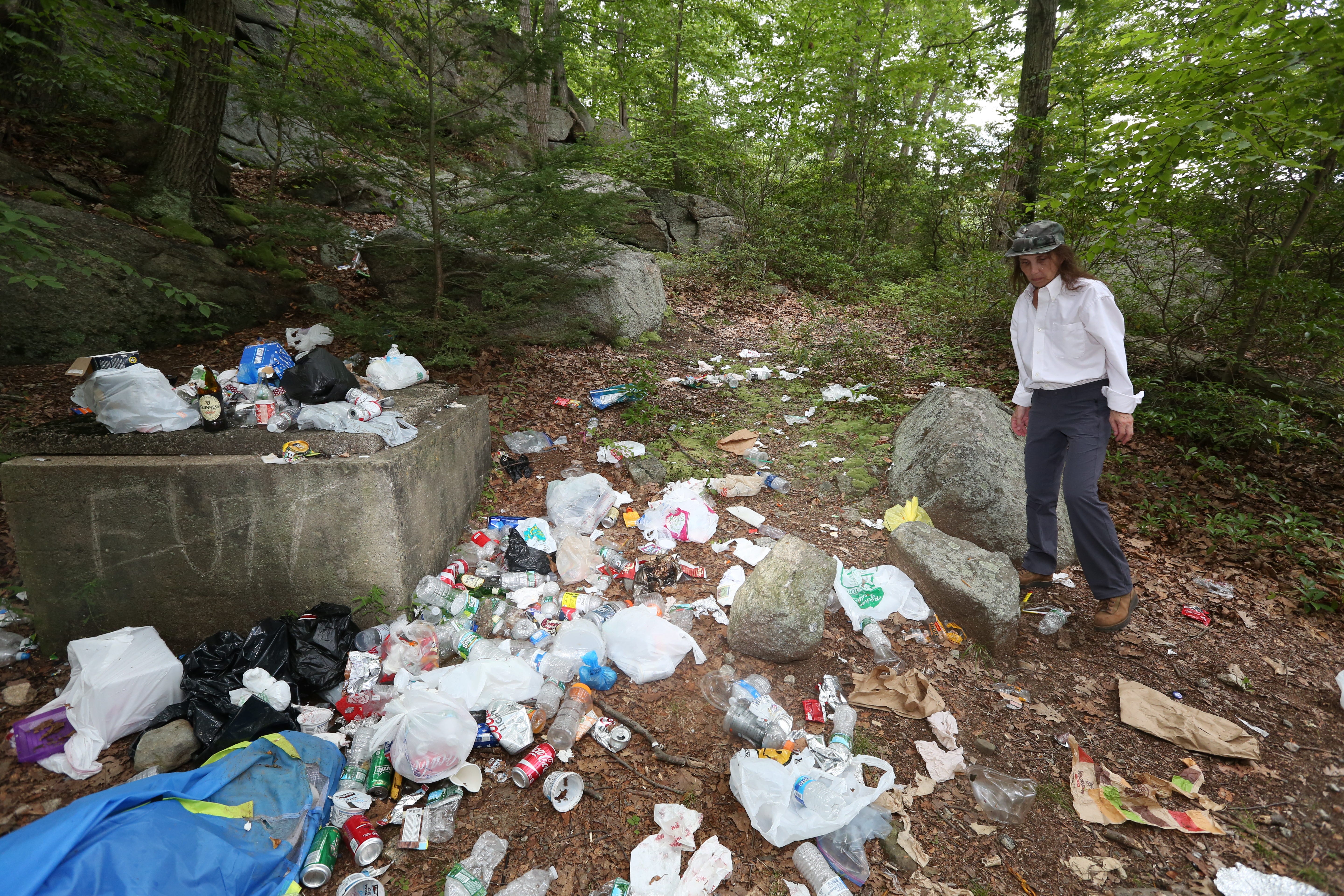 pine meadow lake trail