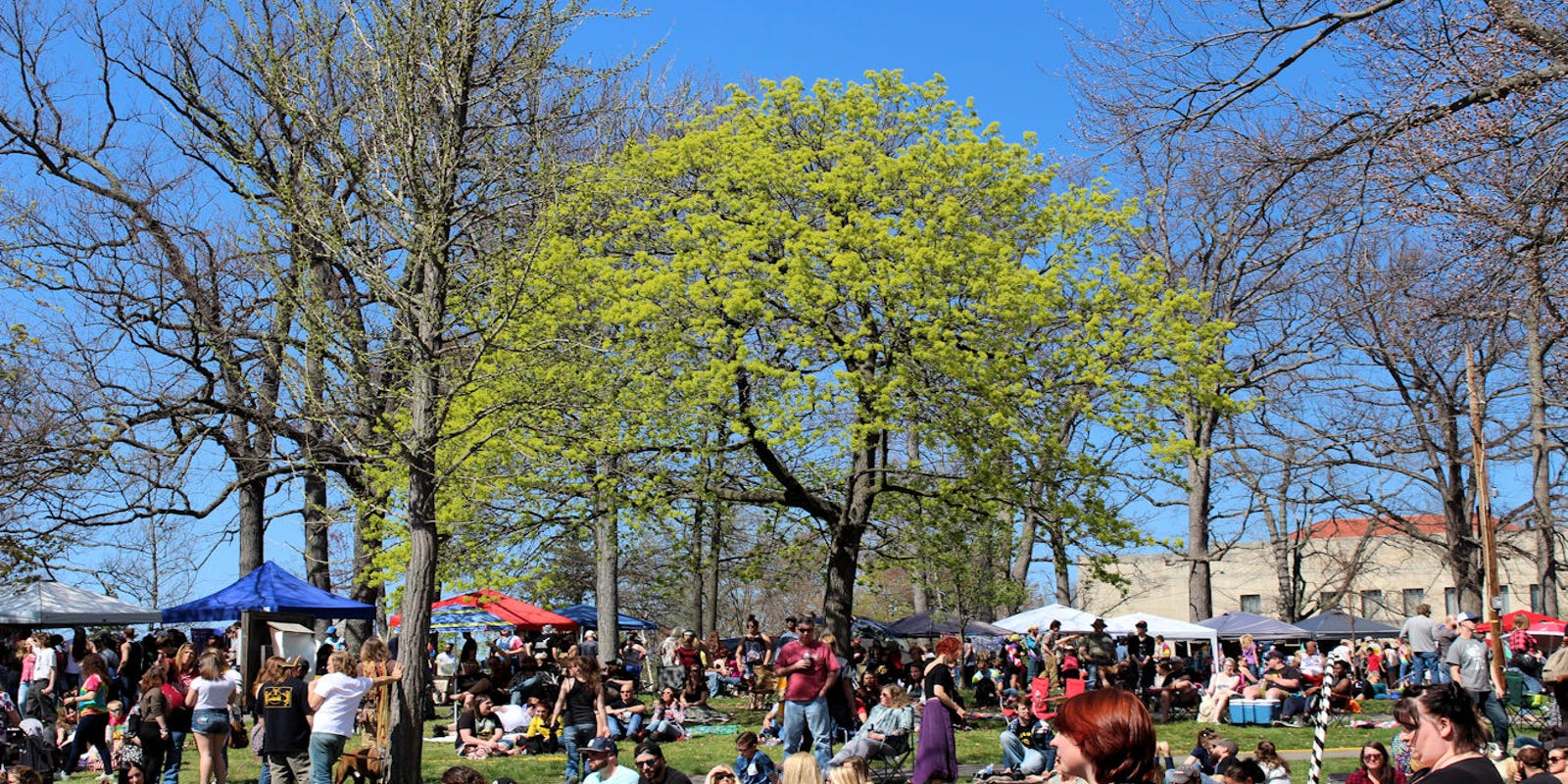 2020 Pennsylvania Cannabis Festival: Drug-free fest moves to Kutztown