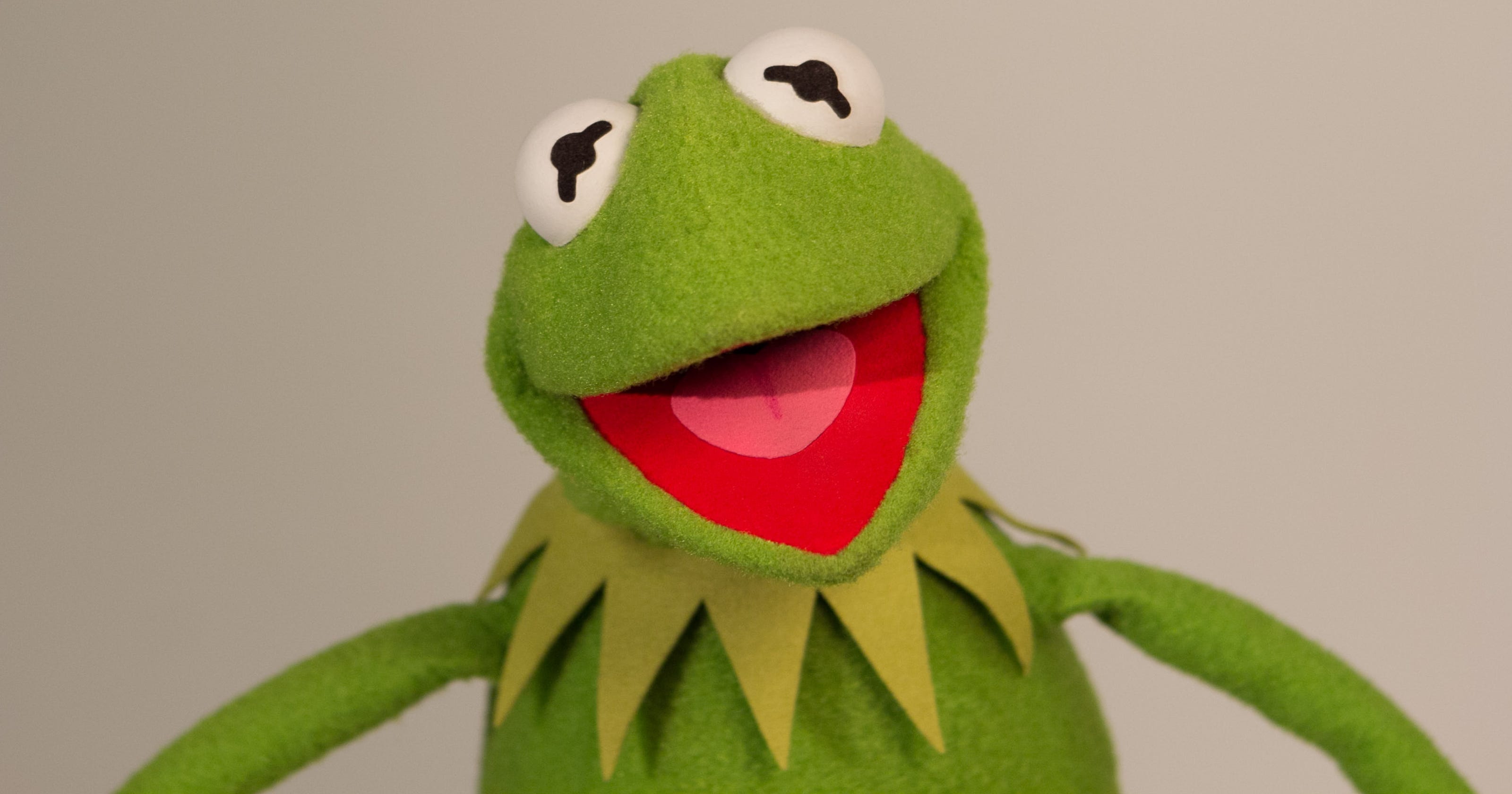 636396561829785209-XXX-KERMIT--10-OF-10-47661325.JPG