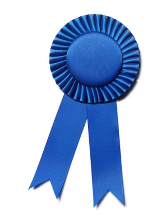 46 Nashville teachers receive Blue Ribbon honor