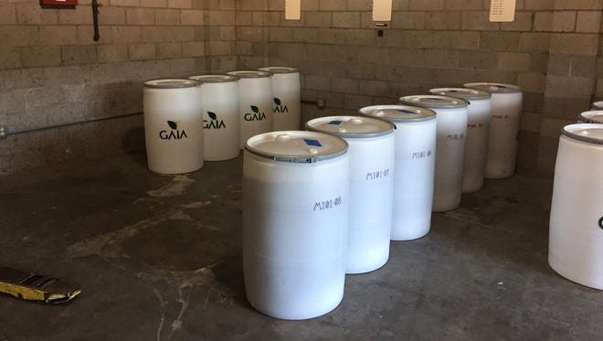 Every week the company tackles 20 to 25 filled barrels of cannabis waste