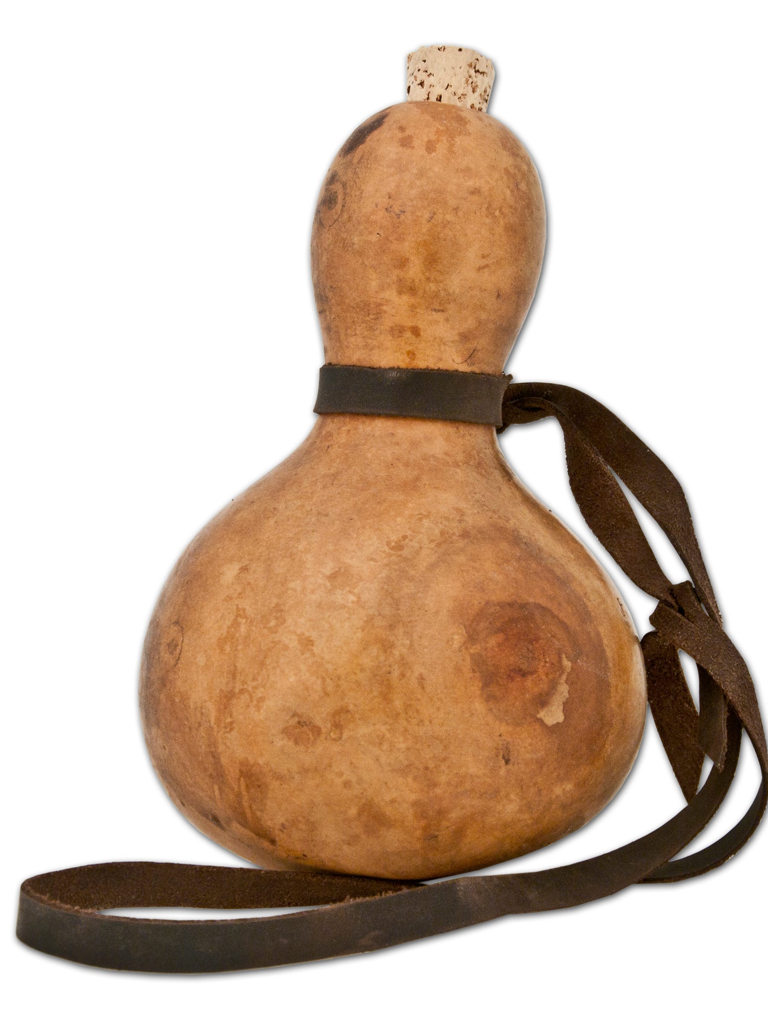 How the humble bottle gourd got to the New World