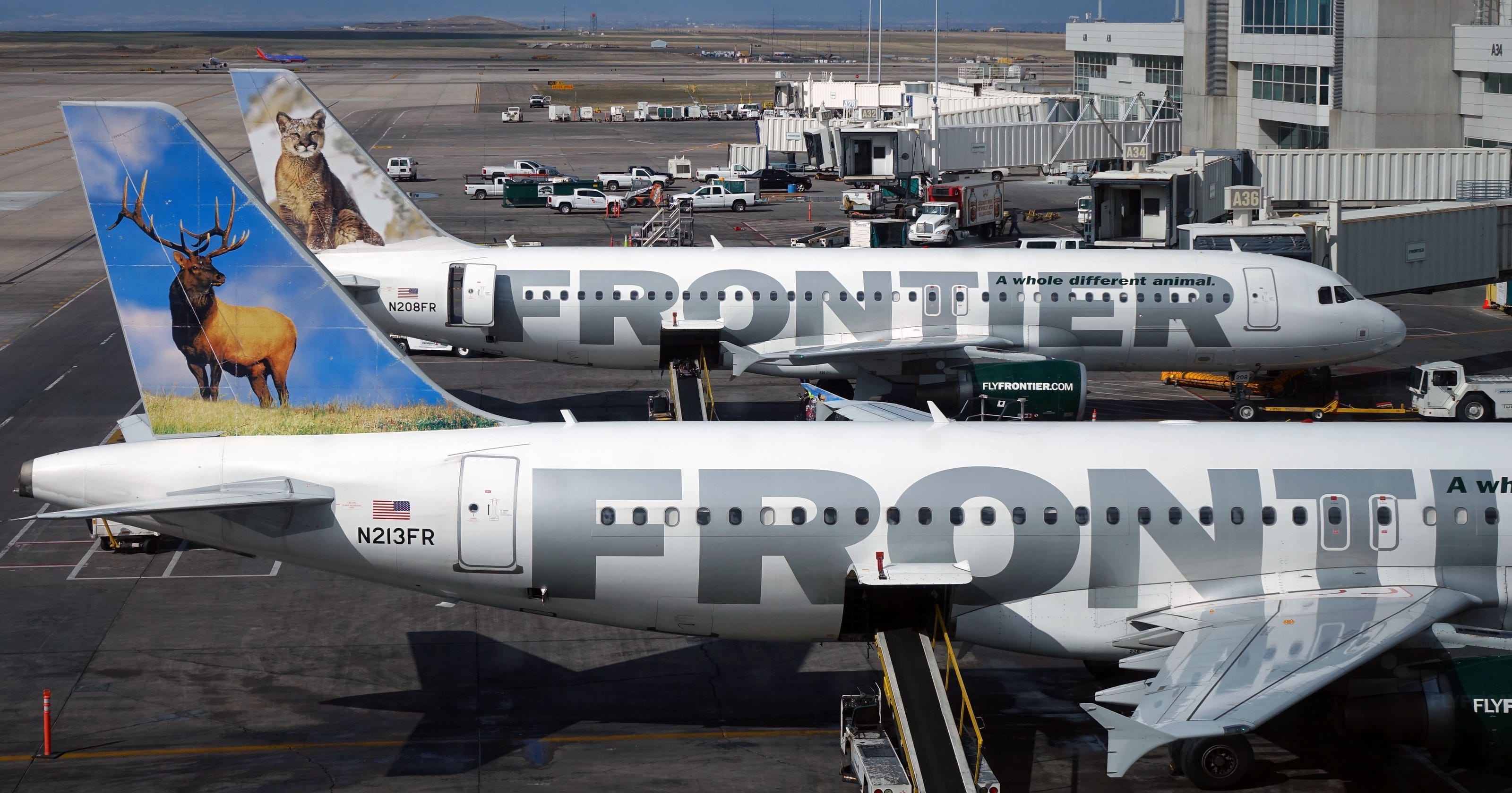 priceline-ends-name-your-own-price-airfares
