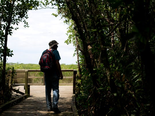 Sunday Afternoon Walk In Owen Park >> Nature Trails 14 Paths Worth Taking In Southwest Florida Sunday Afternoon Walk In Owen Park >> Nature Trails 14 Paths Worth Taking In Southwest Florida