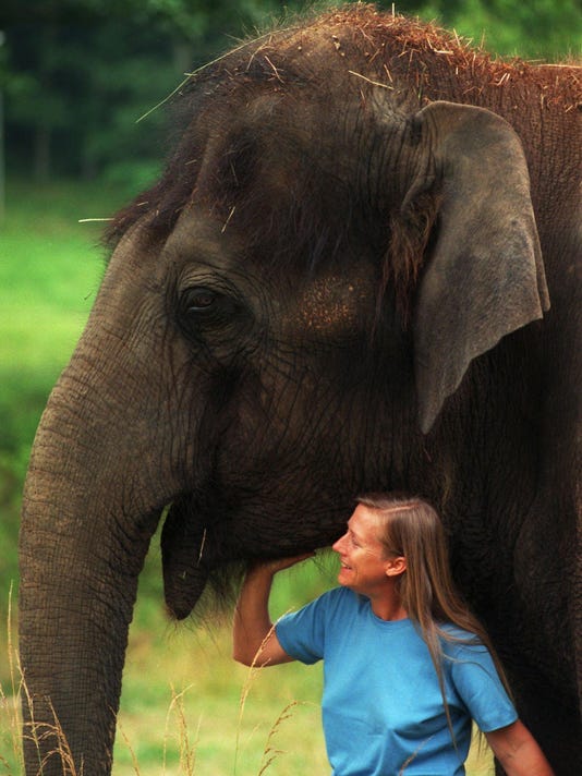 Elephant custody dispute factors into sanctuary plans near Tallahassee