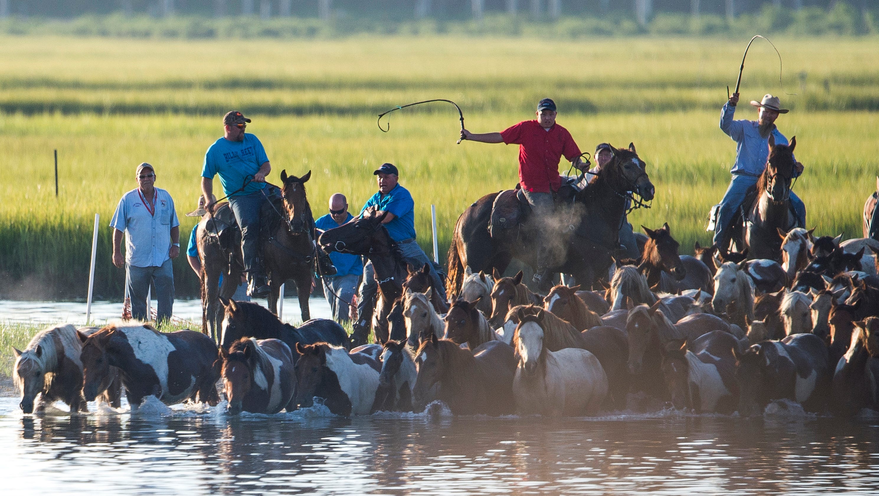 92nd annual Chincoteague Pony Swim
