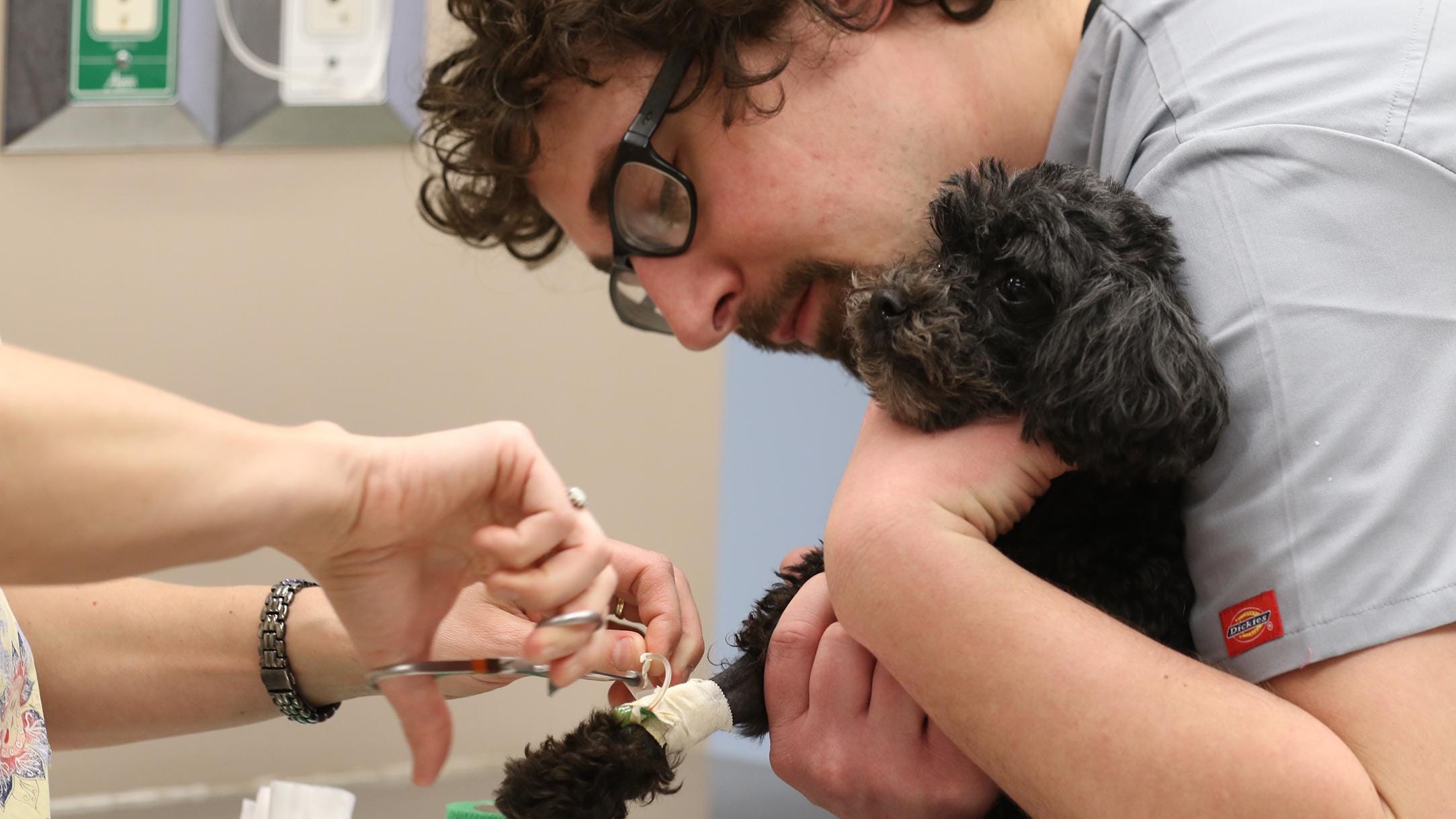 Hot Jobs: Veterinary assistants and laboratory animal caretakers