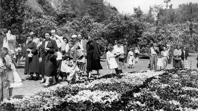 Their Bloomin' Best - The pansy bed at Highland Park took center stage against a lavender backdrop of lilacs for these visitors who viewed a colorful preview of Lilac Sundat at Highland Park. More than 100,000 visitors are expected. (Staff photo)
DC 6/23/1954