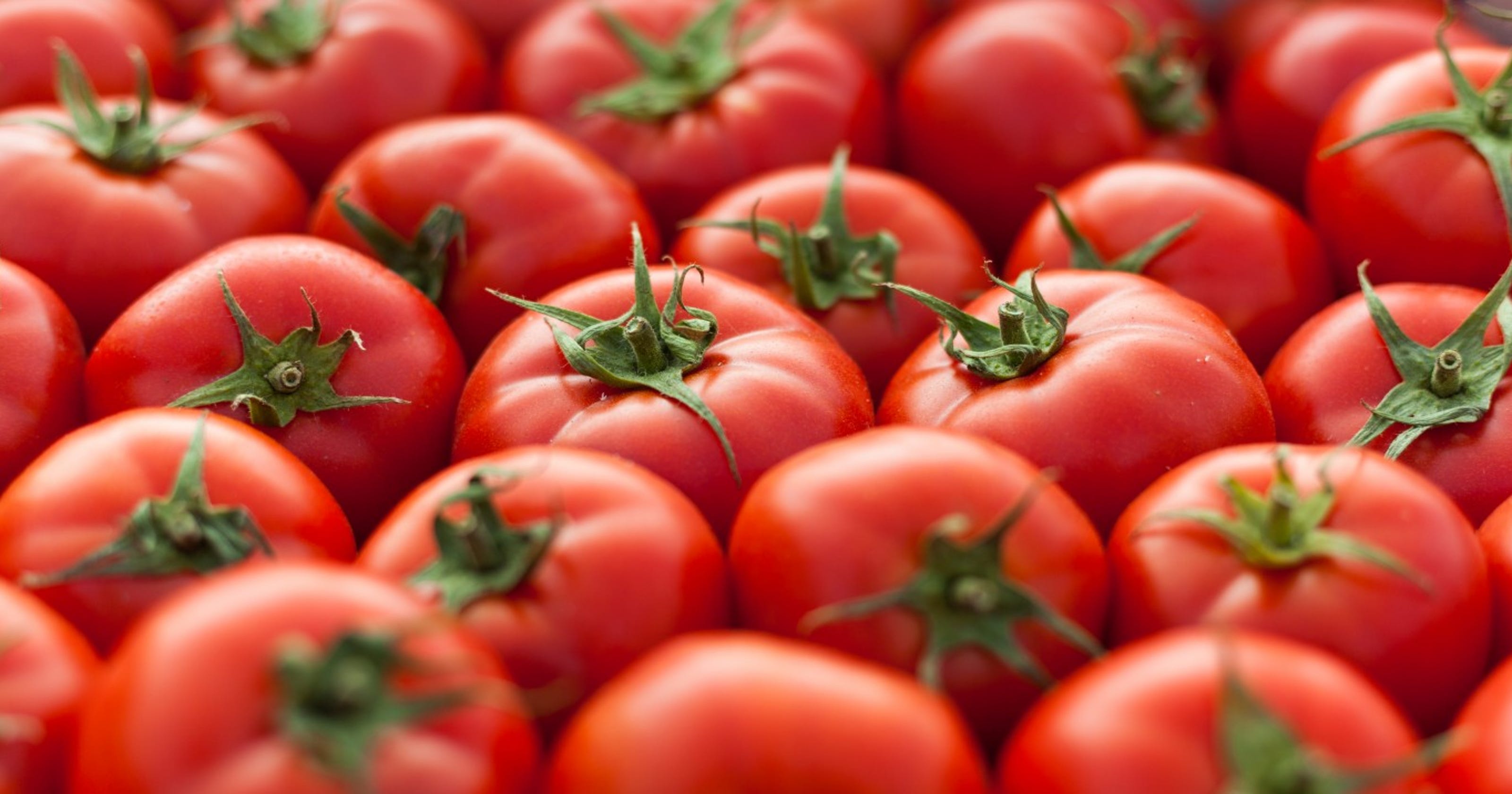 Image result for tomatoes