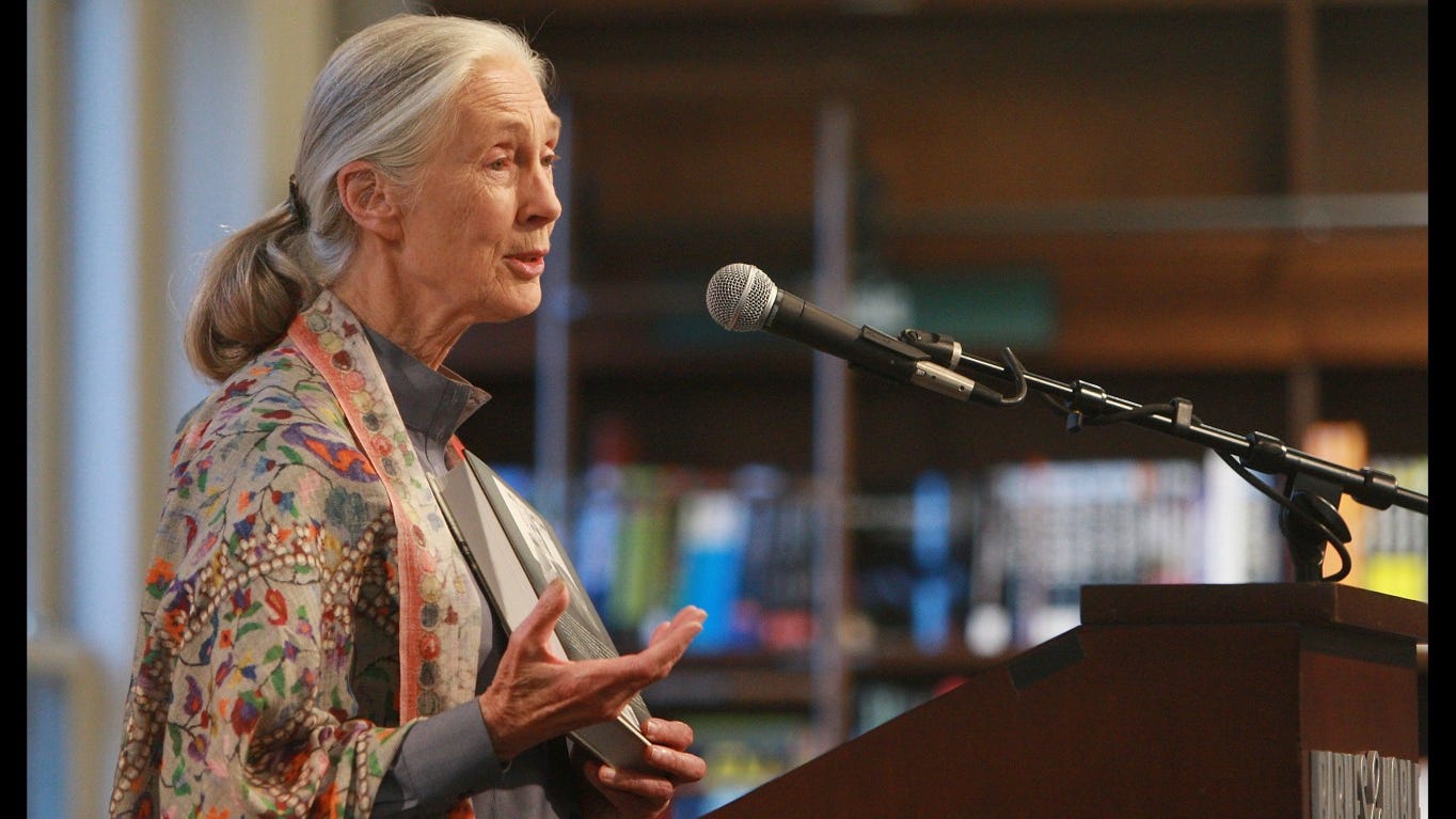 Jane Goodall won the prestigious Templeton Prize, which has been awarded since 1972 to luminaries such as Mother Teresa, the Dalai Lama, and South African Archbishop Desmond Tutu.